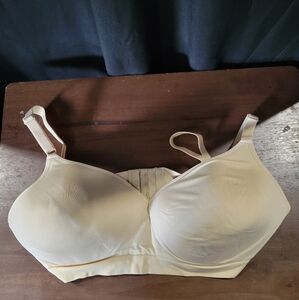 42B Tan Fruit of the Loom Wireless bra (Inv #34)